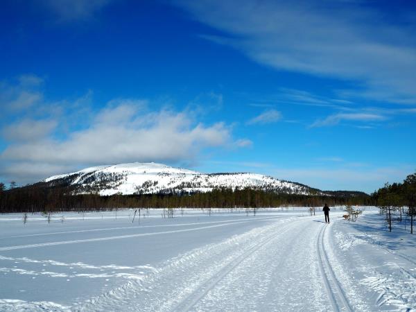 Lapland vacation by rail
