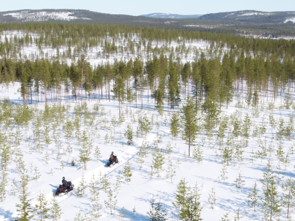 Lapland vacation by rail