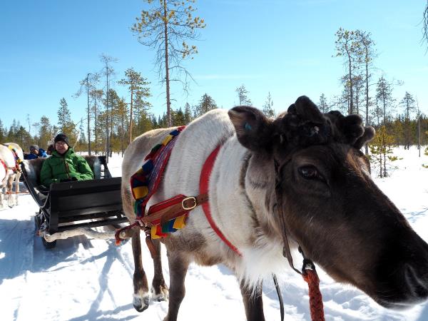 Lapland vacation by rail