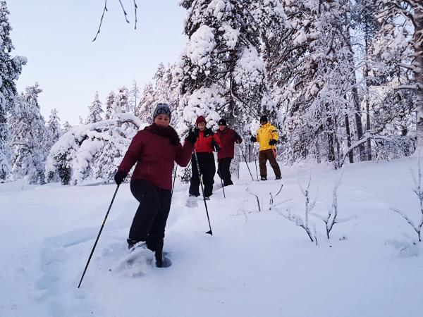 Lapland vacation by rail