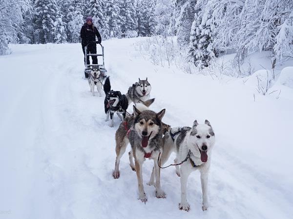 Lapland vacation by rail