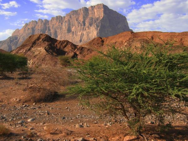 Oman adventure vacation