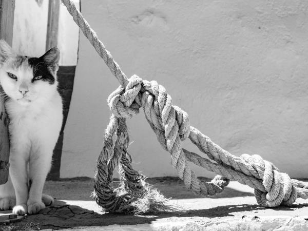 Cyclades hopping and photography vacation