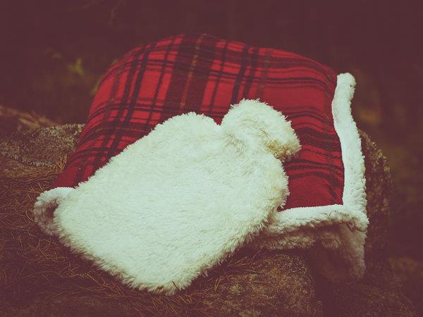 Scotland winter wildlife vacation
