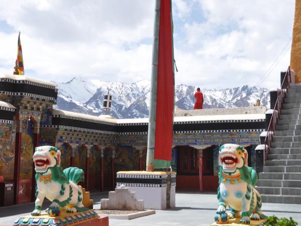 Snow Leopard safari in Ladakh, India
