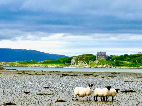 Scottish Highlands activity vacation