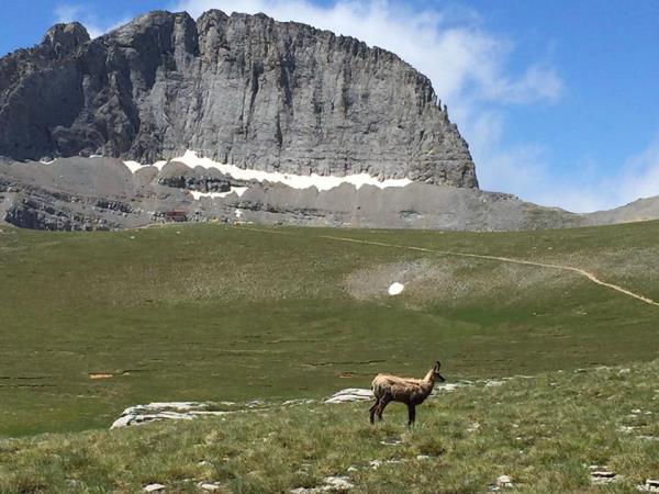 Mount Olympus and Meteora walking vacation, Greece