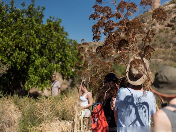 Yoga retreat in Spain, relax & renew