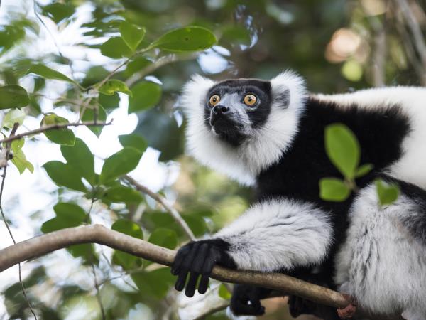 Southern Madagascar tour