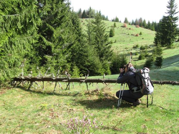 Romania hiking vacation