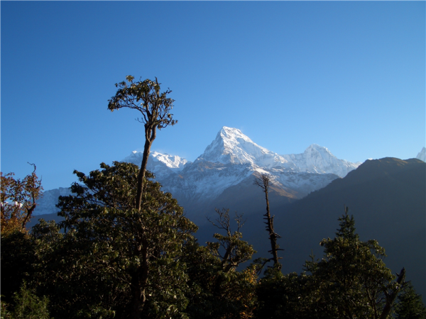 The Annapurna’s and Chitwan vacation in Nepal