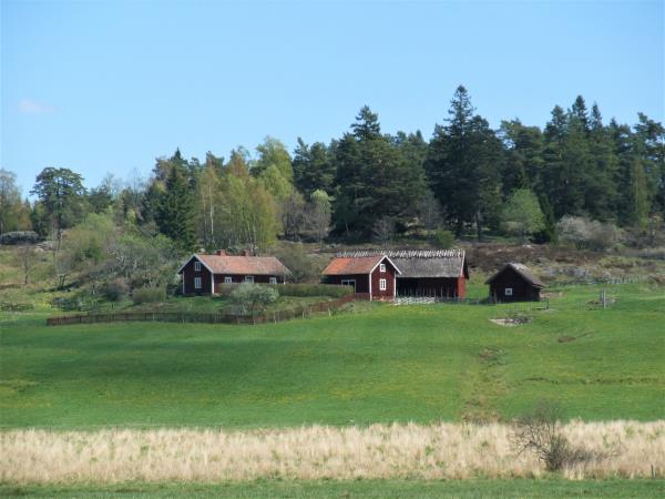 Luxury cycling vacation in Sweden
