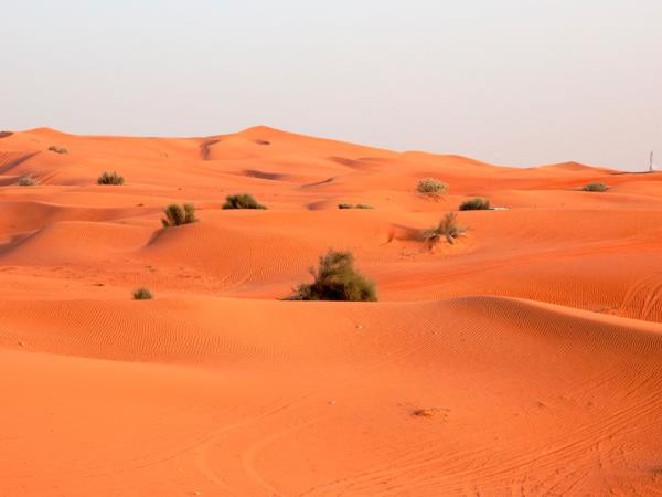 Saudi Arabia small group vacation