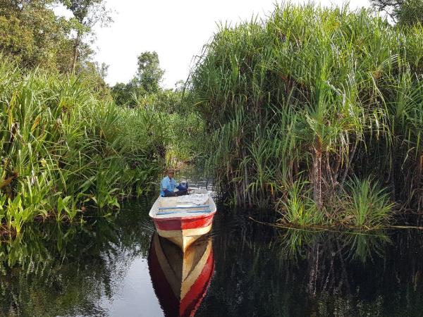 Cycling tour across Borneo