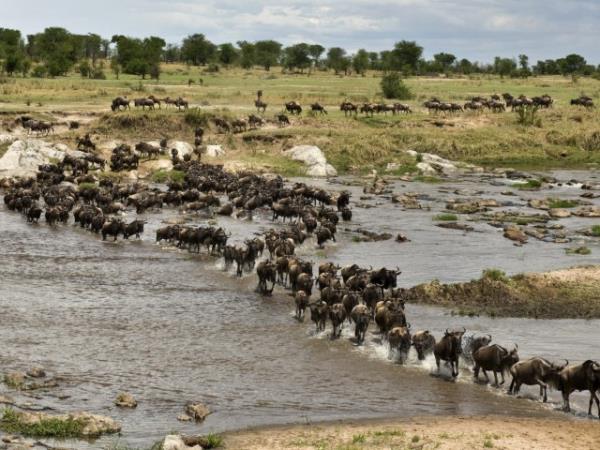Rwanda and Tanzania tailor made vacation