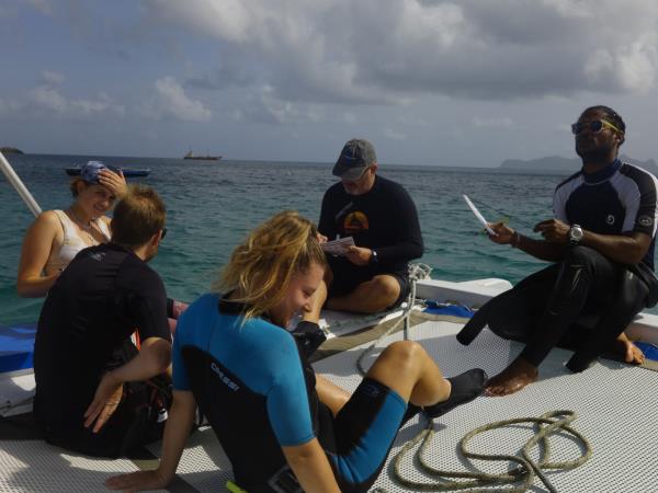 Caribbean coral reef conservation in Carriacou