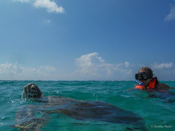 Cancun whale shark vacation, Mexico