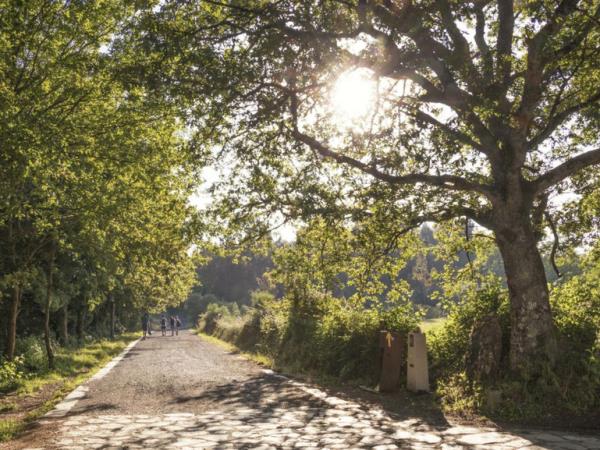 Camino De Santiago family hiking vacation