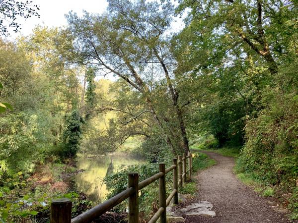Camino de santiago hiking vacation for families with teenagers