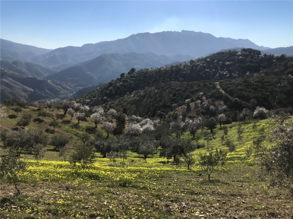Sierra de las Nieves walking vacation in Spain