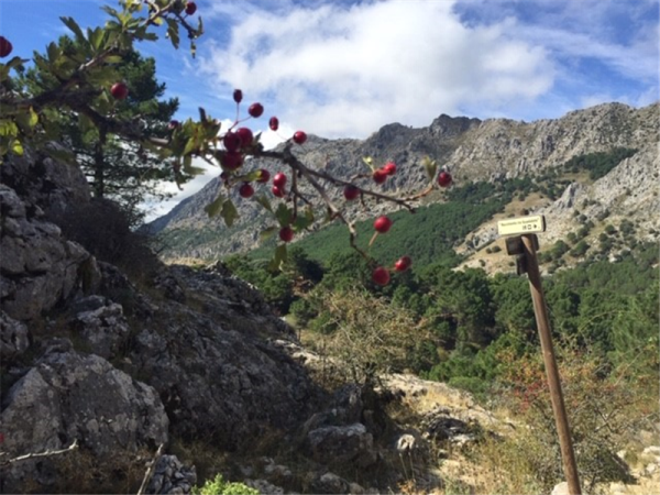 Sierra de Grazalema walking vacation in Spain