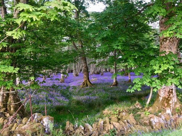 Scotland cooking and cultural vacation