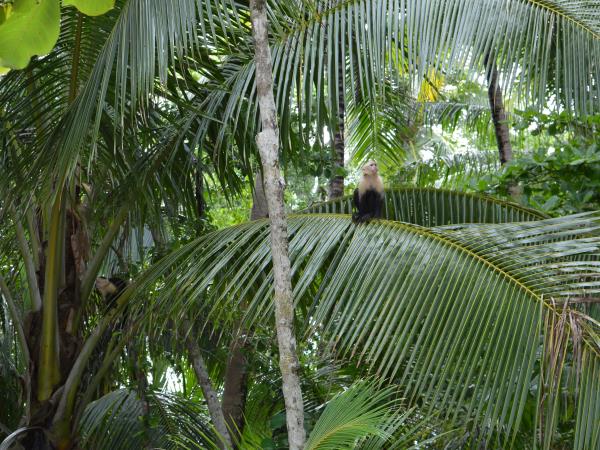 Costa Rica vacation
