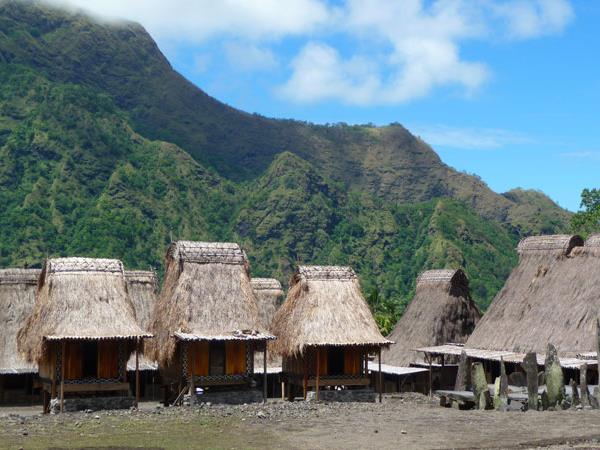 Indonesia small group tour, temples and dragons