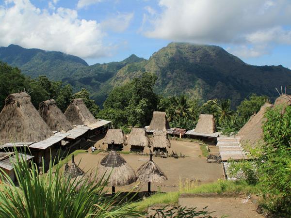 Indonesia small group tour, temples and dragons