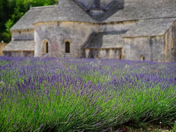 E-bike cycling vacation in Provence