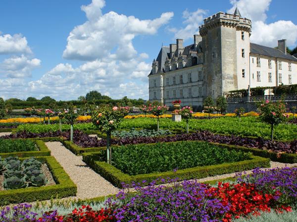 Loire Valley luxury cycling vacation