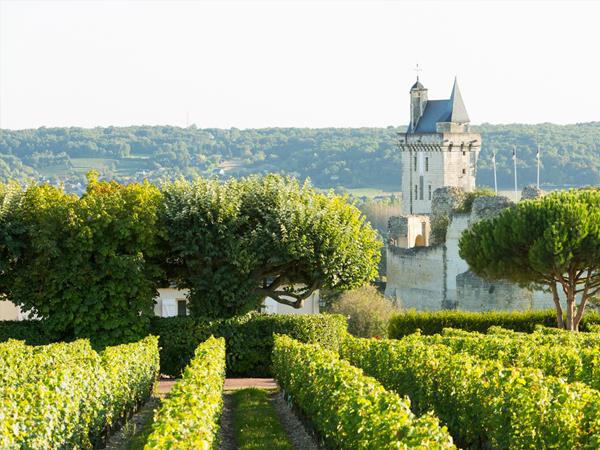 Loire Valley luxury cycling vacation
