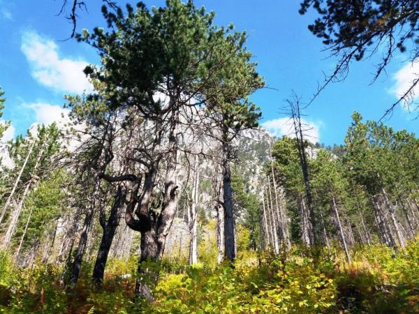 Albanian alps hiking vacation