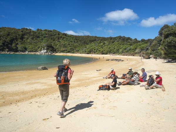 New Zealand highlights tour