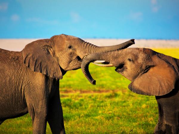 Tanzania adventure vacation