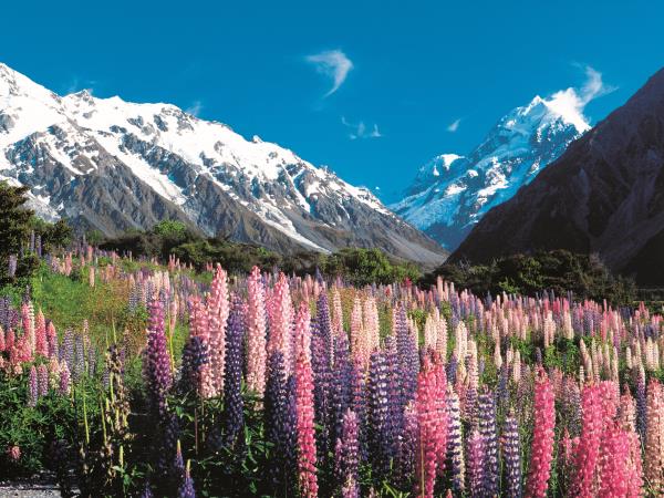 New Zealand two week vacation, South Island