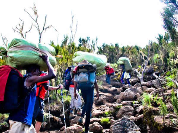 Kilimanjaro Trek, Machame route