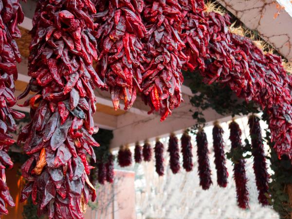 Arizona and New Mexico self drive holiday