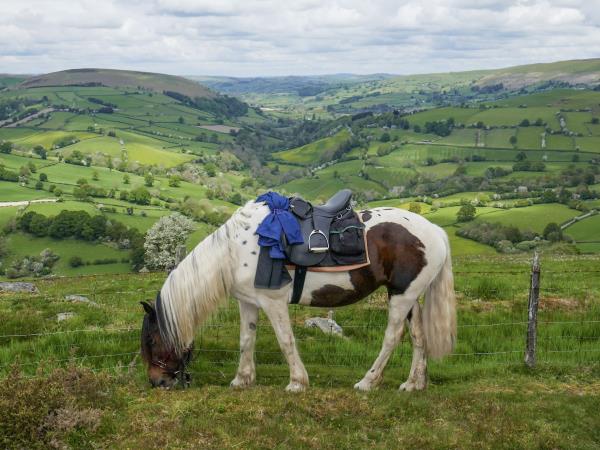 Wye Valley horseriding vacation in Wales