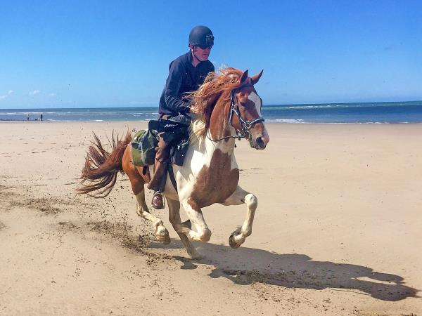 Border to coast horseriding vacation in Wales