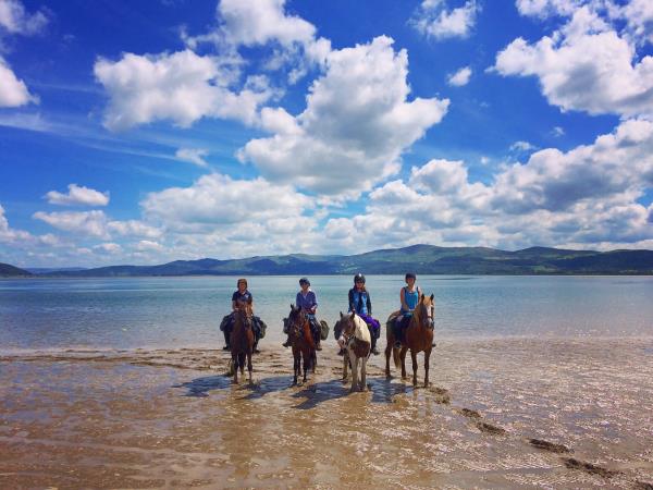 Border to coast horseriding vacation in Wales