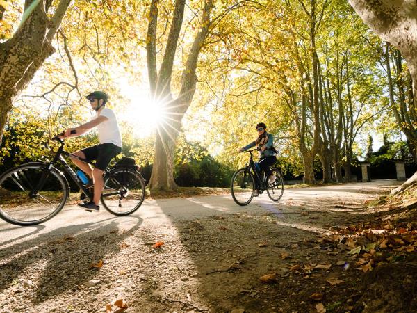 Alpilles cycling vacation in Provence