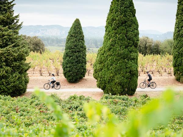 E-bike cycling vacation in Provence