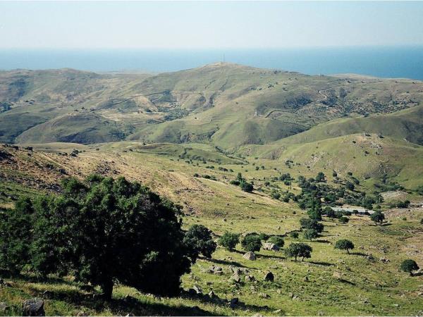 Lesvos birdwatching vacation in Greece