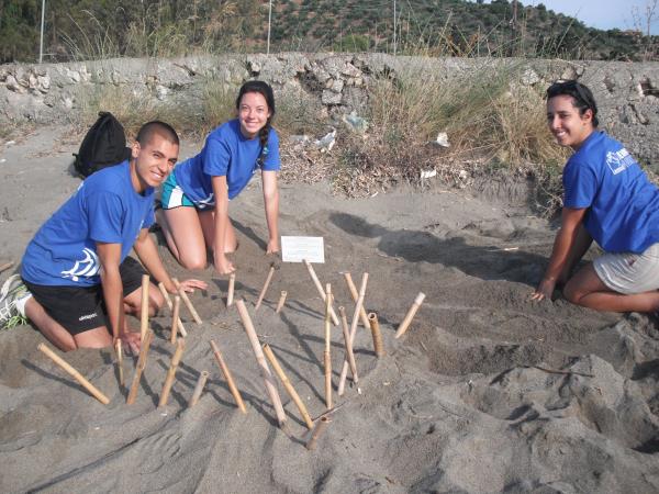 Peloponnese turtle conservation holiday, Greece
