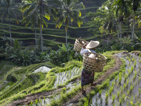 Bali adventure vacation in Indonesia
