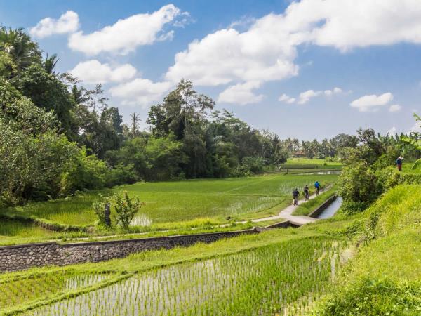Bali adventure vacation in Indonesia