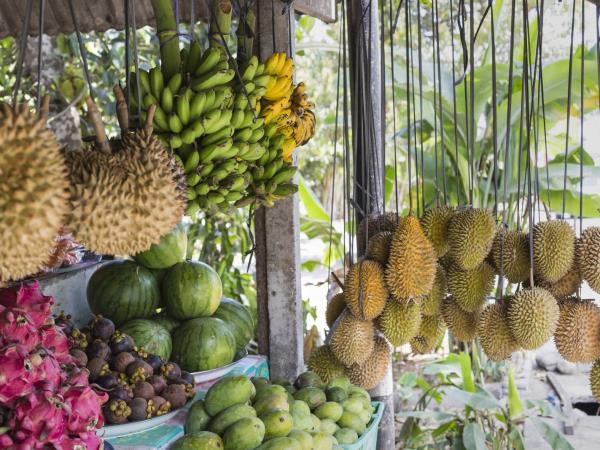 Bali adventure vacation in Indonesia