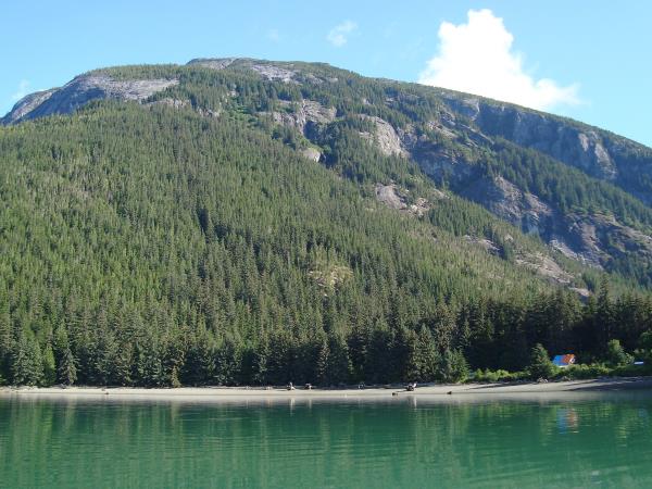 British Columbia Fall wildlife tour