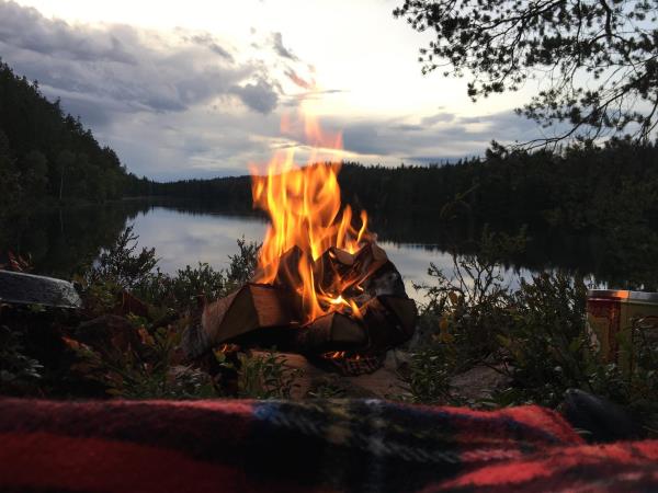 Sweden rewilding and yoga vacation